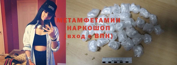 трава Няндома