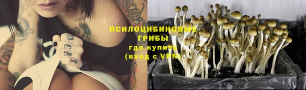 трава Няндома