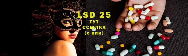 трава Няндома