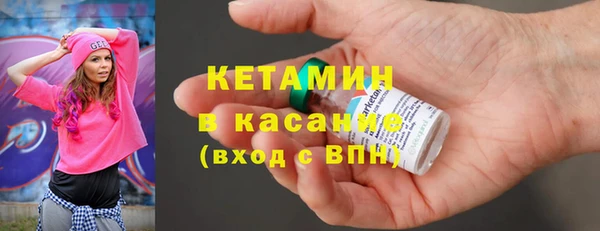 трава Няндома