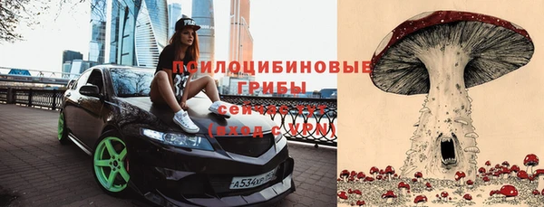 трава Няндома