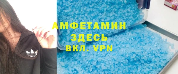 трава Няндома