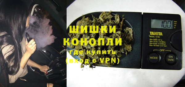 трава Няндома